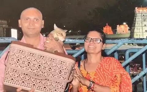 பூனைக்குட்டிக்காக 20 நாட்களாக ரயில் நிலையத்தில் காத்திருக்கும் தம்பதி