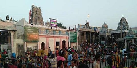 பழனி முருகன் சிலையை திருட சதித்திட்டம் தீட்டப்பட்டது உண்மைதான் - டிஎஸ்பி முகேஷ் ஜெயக்குமார்