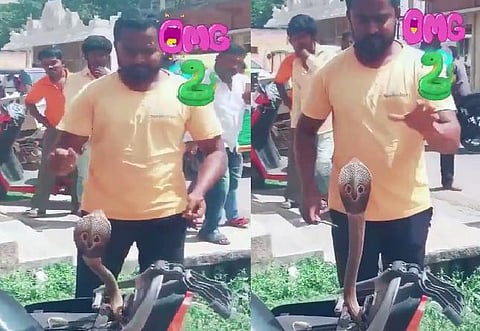 வீரிட்டு எழுந்த நாகப் பாம்பு - வைரலான ‘ஸ்நேக் மேன்’ வீடியோ