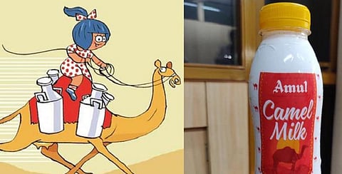 அதிக அளவு.. அதிக சுவை.. அமுல் வழங்கும் ஒட்டகப் பால்