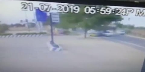 ஒரு மரம் பல உயிர்களை காப்பாற்றிய வீடியோ