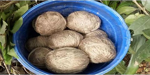 நாட்டு வெடிகுண்டு தயாரித்தவர் கைது