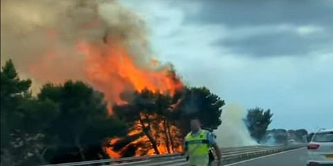 வெப்பத்தால் பற்றி எரிந்த மரம் - ஐரோப்பாவை வாட்டி வதைக்கும் கோடை வெயில்