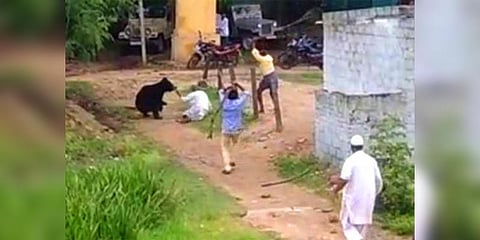 குடியிருப்பில் புகுந்து 5 பேரை தாக்கிய கரடி - மக்கள் அச்சம்