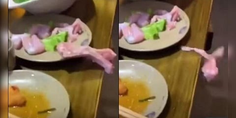 தட்டில் இருந்து துள்ளிக்குதித்த சமைக்கப்படாத துண்டு சிக்கன்