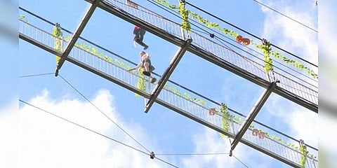 செயற்கை நீர்வீழ்ச்சியுடன் கண்ணாடி பாலம் : சீனாவில் திறப்பு