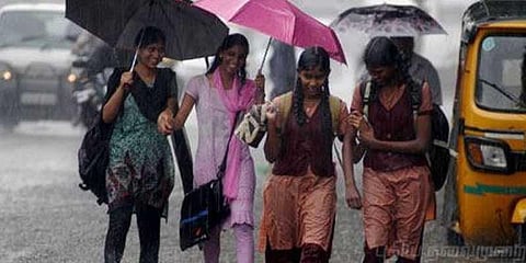 நீலகிரியில் கனமழை: 3 தாலுகா பள்ளி, கல்லூரிகளுக்கு விடுமுறை