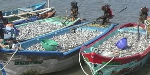 சுருக்குமடி வலையில் மீன் பிடித்தால் பறிமுதல் - மாவட்ட நிர்வாகம் எச்சரிக்கை