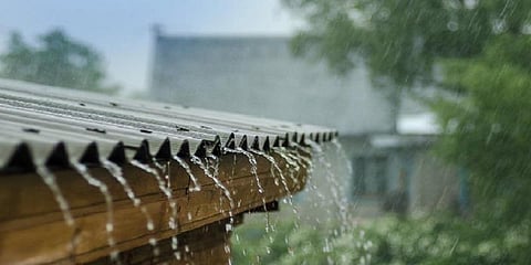 கோவை, நீலகிரியில் கனமழை: உதவி எண்கள் அறிவிப்பு