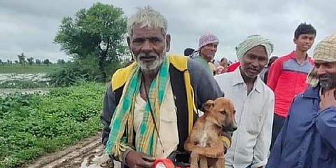 ''நாய்களையும் காப்பாற்றுங்கள்'' - வெள்ளத்தில் சிக்கியவரின் நாய்ப்பாசம்!