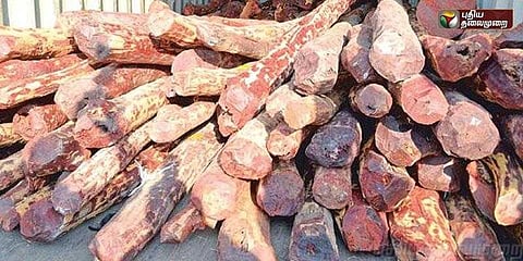 செம்மரம் கடத்த முயற்சி : ஆந்திராவில் 9 தமிழர்கள் கைது