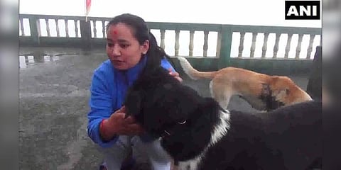 சிறுத்தையிடம் இருந்து எஜமானரைக் காப்பாற்றிய ’டைகர்’!