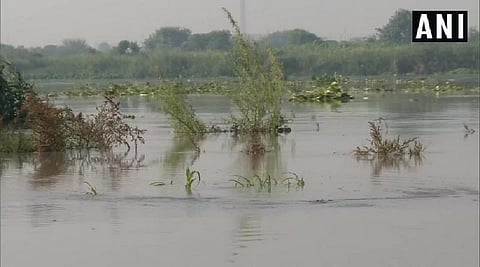 யமுனையில் வரலாறு காணாத வெள்ளம் - கெஜ்ரிவால் தீவிர ஆலோசனை