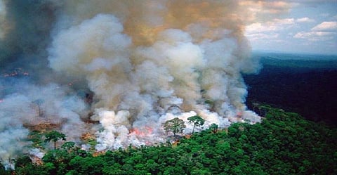 திடீரென பற்றி எரியும் அமேசான் காடுகள்.. காரணம் என்ன..?