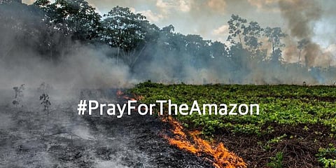 பற்றி எரியும் அமேசான் காடு : #PrayForAmazon ட்ரெண்ட் ஆக்கும் பிரபலங்கள்