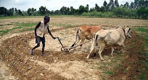 விவசாயிகளின் வருமானத்தைக் கணக்கிட புதிய வழிமுறை? - மத்திய அரசு திட்டம்