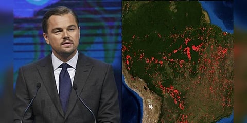 அமேசானை காக்க ஹாலிவுட் நடிகர் டி காப்ரியோ ரூ.35 கோடி உதவி