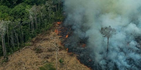 அமேசான் தீயை அணைக்க அமெரிக்காவின் உதவியை நாடும் பிரேசில்!