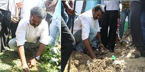 நாம் தமிழர் கட்சியின் “பனை திருவிழா” - பனை விதையை நட்டுவைத்தார் சீமான்