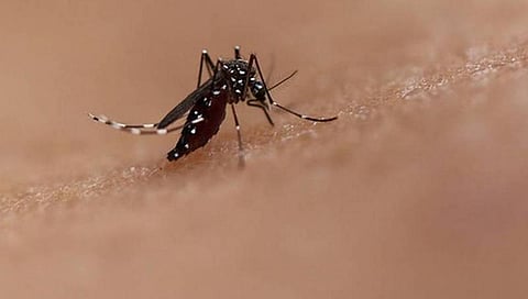 மருத்துவ பரிசோதனையில் 9 பேருக்கு டெங்கு காய்ச்சல் உறுதி