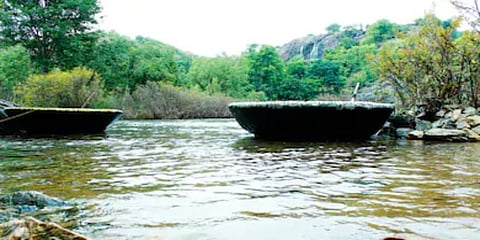 ஒகேனக்கல்லில் பரிசல் கவிழ்ந்து விபத்து : ஆற்றில் அடித்துச்செல்லப்பட்ட பெண்