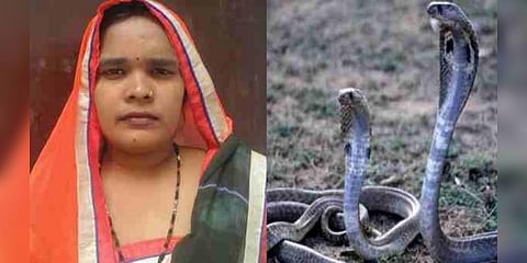 செல்போனில் பேசியபடி பாம்புகள் மீது அமர்ந்த பெண்: பரிதாபமாக உயிரிழப்பு