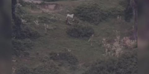 ராணுவம் அதிரடி: வெள்ளைக் கொடியுடன் உடல்களை மீட்ட பாக்.படையினர்- வீடியோ