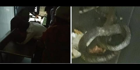 பள்ளி விடுதியில் பாம்பு கடித்து மாணவி உயிரிழப்பு