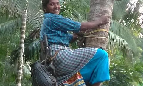 கை உடைந்த கணவரின் கண்ணீரைப் போக்க மரம் ஏறி சாதித்த பெண்