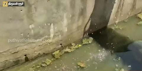 தமிழக எல்லையை வந்தடைந்த கிருஷ்ணா நதிநீர் - மலர்தூவி வரவேற்பு