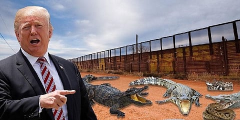 “ஊடுருவலை தடுக்க முதலைகள் அகழி” - தகவல் தவறு என ட்ரம்ப் மறுப்பு