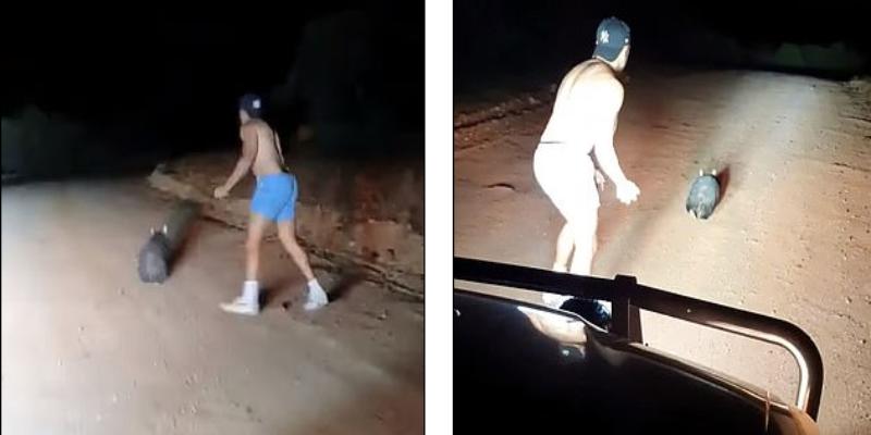 “விடாதே.. அடித்து கொல் நண்பா” - அரியவகை விலங்கை கொன்ற கொடூரன்