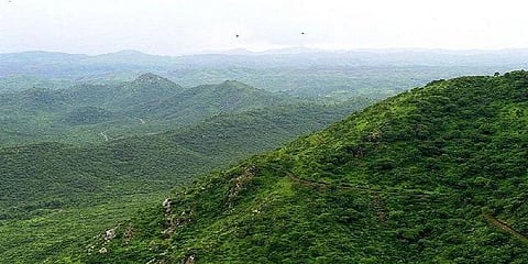 1400 கிலோ மீட்டர் தொலைவிற்கு ‘பசுமை பெருஞ்சுவர்’ - இந்தியா திட்டம்?