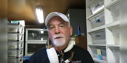 பையை திருடிய கொள்ளையர்கள்... உள்ளே நெளிந்தது பாம்புகள்... இது அமெரிக்க அதகளம்!