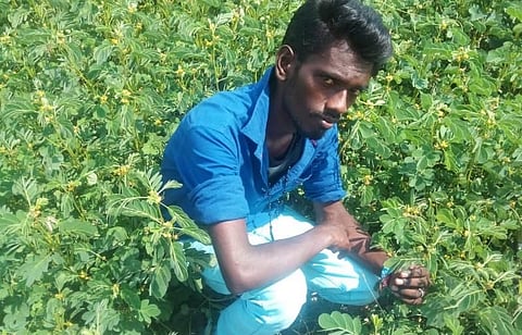 மது அருந்தும்போது தகராறு... தலையில் கல்லை போட்டு இளைஞர் கொலை