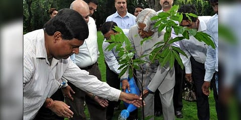 ‘அப்துல் கலாமிற்காக மரம் நடுவோம்’ - பிறந்த நாளை முன்னிட்டு ட்ரெண்டிங்