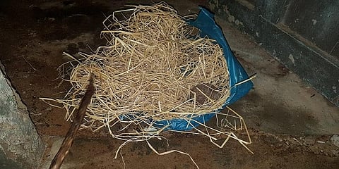 பாழடைந்த வீட்டில் நாட்டு வெடிகுண்டு... உஷாரான போலீஸ்..!