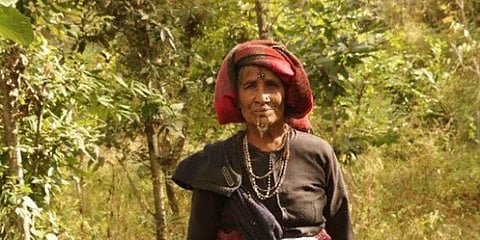 ‘மரங்களின் தோழி’ - இயற்கையே விரும்பும் 76 வயது மூதாட்டி