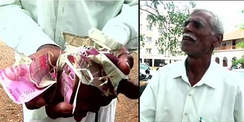 ரூ.50 ஆயிரத்தை கடித்துக் குதறிய எலி: பரிதவிக்கும் விவசாயி