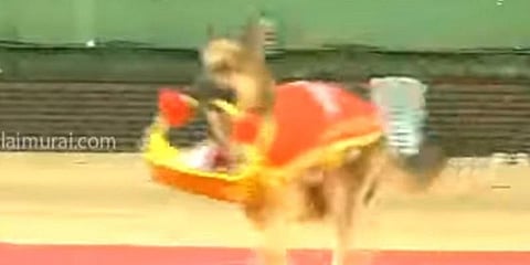 முதலமைச்சருக்கு பூங்கொத்து கொடுத்த மோப்ப நாய்