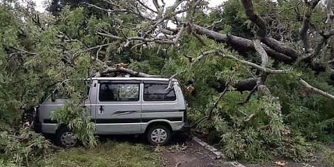 கோயிலுக்கு சென்று திரும்பிய குடும்பம்: கார் மீது மரம் விழுந்து விபத்து..!