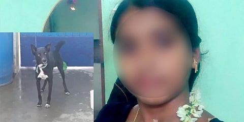 செல்லமாக வளர்த்த நாயை கைவிட சொன்ன பெற்றோர்- மனமுடைந்த இளம்பெண் தற்கொலை..!