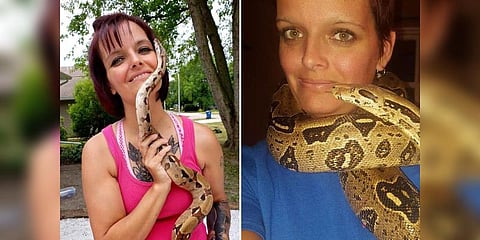 கழுத்தை இறுக்கியது மலைப்பாம்பு: இறந்து கிடந்த பெண் வீட்டில் 140 பாம்புகள்!