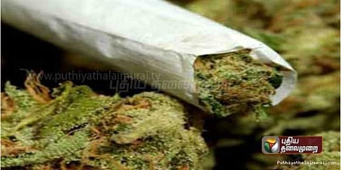 போலீஸுக்கு தகவல் கொடுத்தவரின் குடும்பத்தை வெட்டிய கஞ்சா கும்பல்