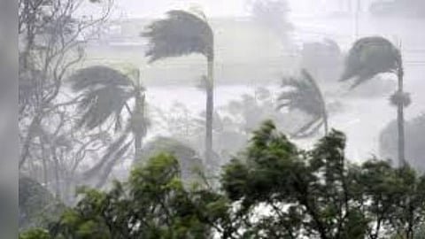 பிபார்ஜோ புயல்