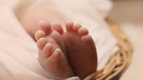 பெண் குழந்தையை தென்னந்தோப்பில் வீசிச் சென்ற அவலம்