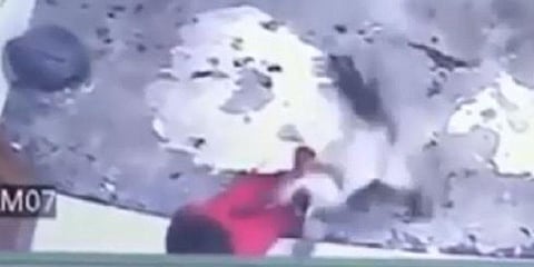 பாய்ந்து வந்து குழந்தையின் உயிரை காப்பாற்றிய பூனை : வீடியோ