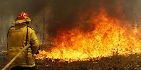 “இந்தியாவில் பருவ மழைக்காலம் நீடித்ததால் ஆஸி.யில் காட்டுத் தீ”- விஞ்ஞானி