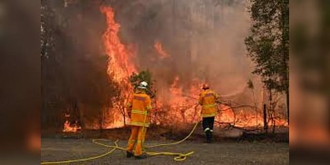 8 லட்சம் ஹெக்டேருக்குப் பரவிய ஆஸ்திரேலிய காட்டுத் தீ - 3 பேர் உயிரிழப்பு