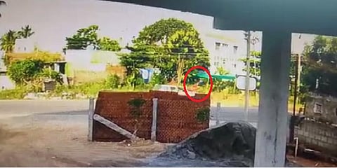 விபத்தில் மூளைச்சாவு அடைந்த பெண் - வெளியானது சிசிடிவி காட்சிகள்